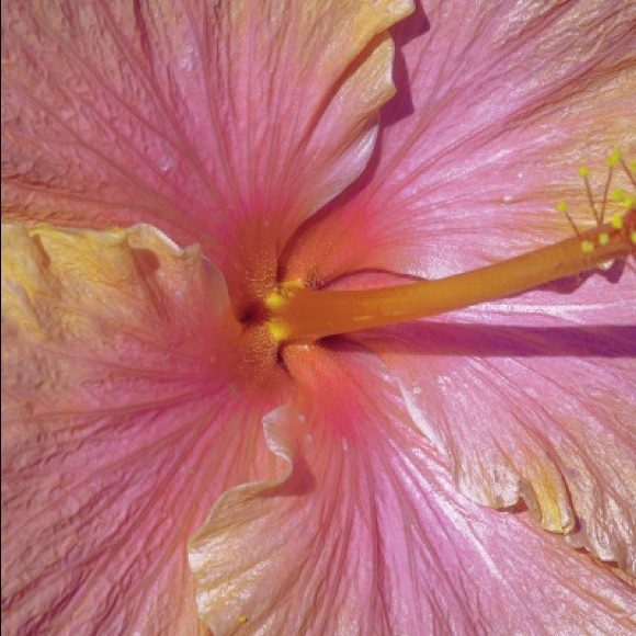 Meet your Posher, K - Picture 1 of 1